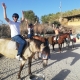 Saddle Up horse riding Estepona