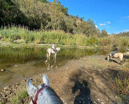 River ride Estepona with Ranch Siesta Los Rubios