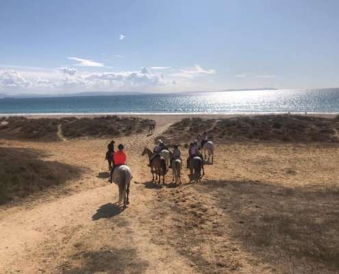 ranch Siesta Los Rubios beach riding in Tarifa on a day trip