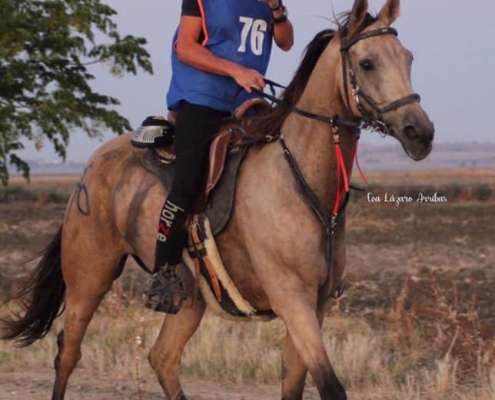 Ranch Siesta Los Rubios horse riding - Bambina