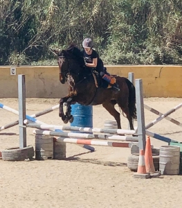 Ranch Siesta Los Rubios jumping lessons in Estepona