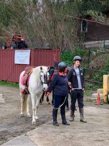 The Beatles bootcamp fabulous four horses at Ranch Siesta Los Rubios John Paul Ringo and George