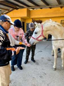 Ranch Siesta Los Rubios Estepona horse riding stables Aprona disabilities group visits