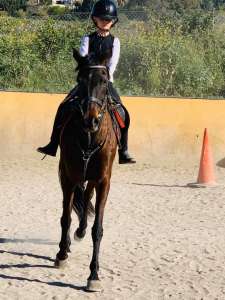 Ranch Siesta Los Rubios riding lessons for children in Estepona