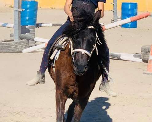 Ranch Siesta Los Rubios riding lessons for children in Estepona