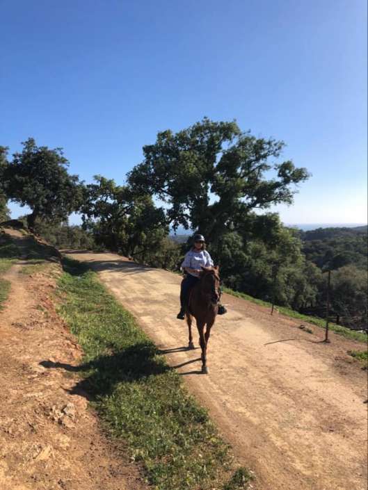 Ranch Siesta Los Rubios estepona ruta de caballos horse riding mountain hack in Estepona into the Sierra Bermeja