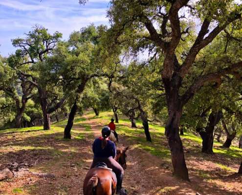 Ranch Siesta Los Rubios estepona ruta de caballos horse riding mountain hack in Estepona into the Sierra Bermeja