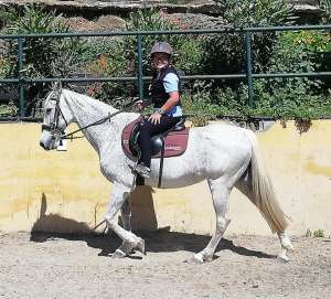 Ranch Siesta Los Rubios horse riding lessons restart after lockdown