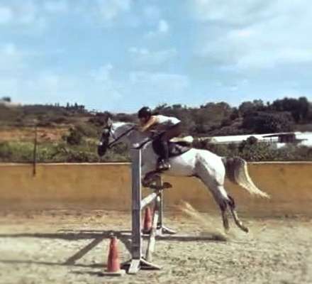 Jumping lessons at Ranch Siesta Los Rubios, Estepona