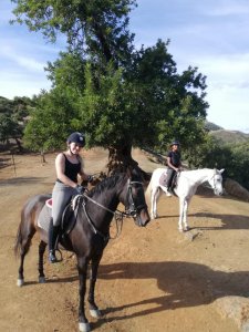 Mountain horse riding Estepona Ranch Siesta Los Rubios