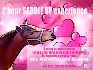 Valentines gift