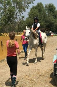 Endurance riding trial