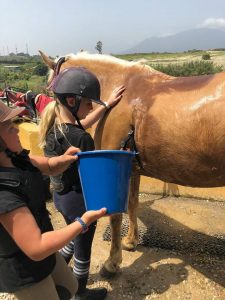 Endurance riding at Ranch Siesta Los Rubios