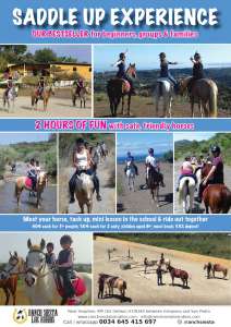 Horse riding for beginners