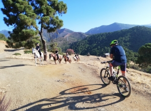 Cycling Sierra Bermeja
