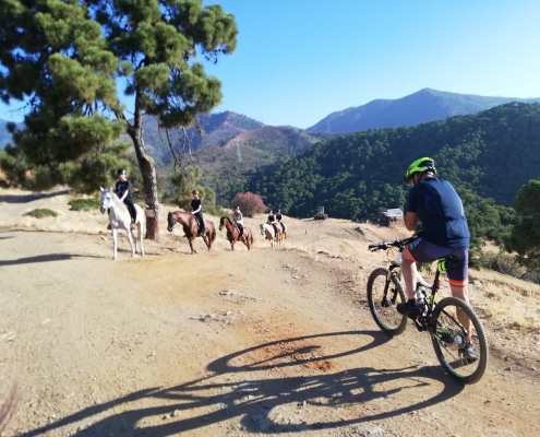 Cycling Sierra Bermeja