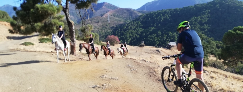 Cycling Sierra Bermeja