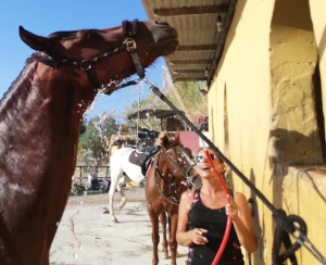 Cooling down at Ranch Siesta Los Rubios