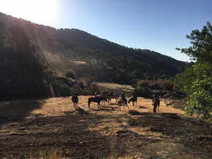 Horse riding Costa del sol