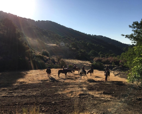 Horse riding Costa del sol