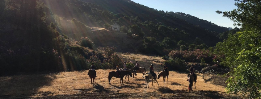 Horse riding Costa del sol