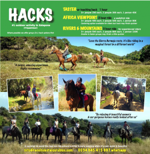 Hacks horses Estepona