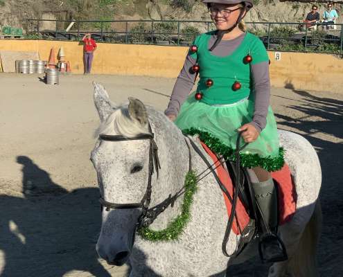 Kids riding lessons Estepona