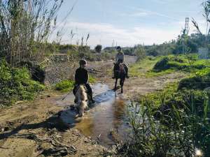 Pony Patrol Estepona children’s riding