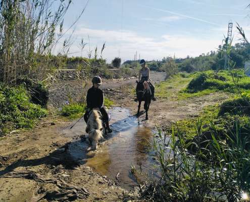 Pony Patrol Estepona children’s riding