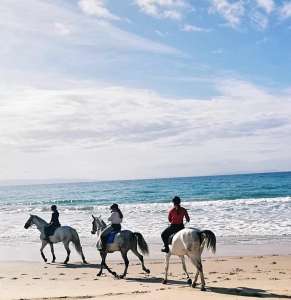 ranch Siesta Los Rubios beach riding in Tarifa on a day trip