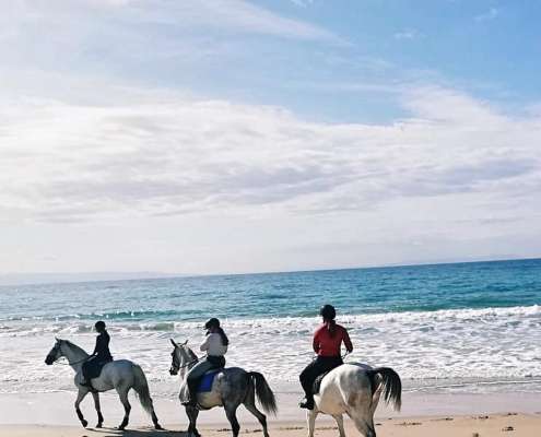ranch Siesta Los Rubios beach riding in Tarifa on a day trip