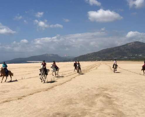 ranch Siesta Los Rubios beach riding in Tarifa on a day trip