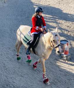 Kids riding lessons Estepona