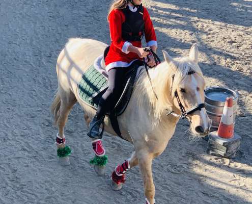 Kids riding lessons Estepona