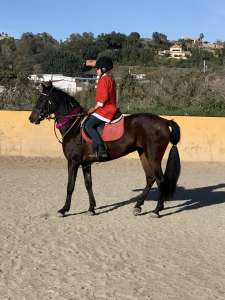 Kids riding lessons Estepona