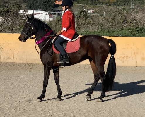 Kids riding lessons Estepona