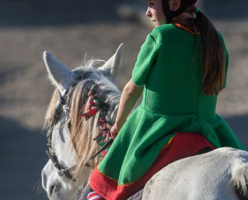 Horse riding Costa Del Sol