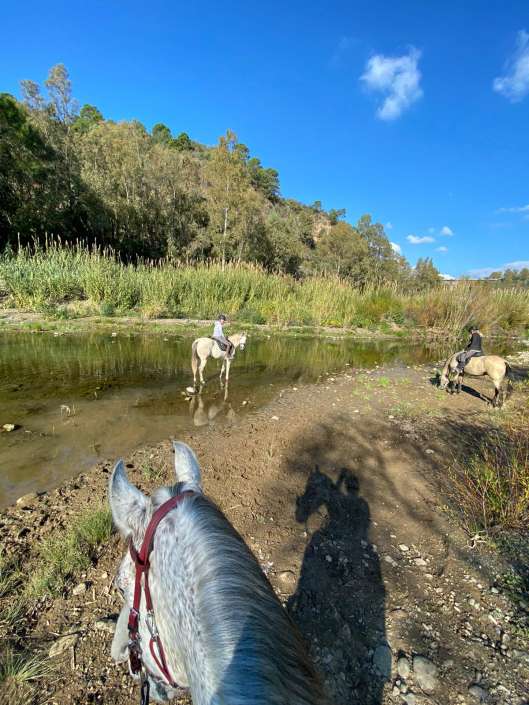 River ride Estepona with Ranch Siesta Los Rubios