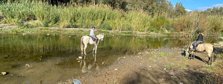 River ride Estepona with Ranch Siesta Los Rubios