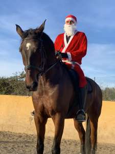 Horse riding Costa Del Sol