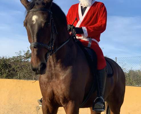 Horse riding Costa Del Sol