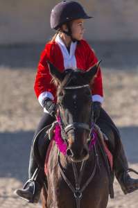 Kids riding lessons Estepona