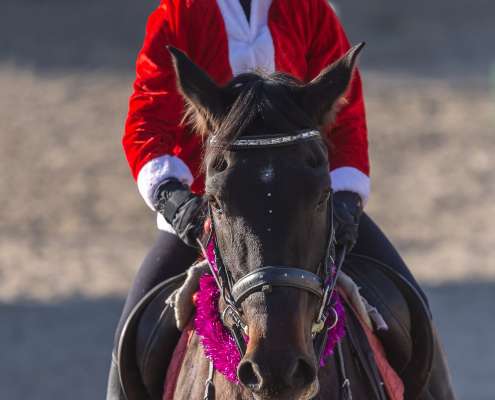 Kids riding lessons Estepona