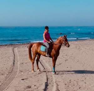 Horse riding on the beach in Estepona Ranch Siesta Los Rubios