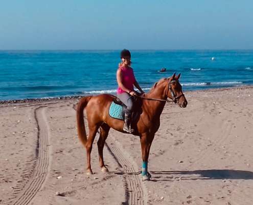 Horse riding on the beach in Estepona Ranch Siesta Los Rubios