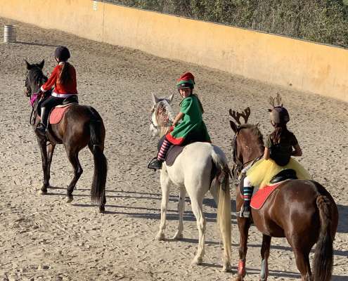 Kids riding lessons Estepona