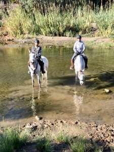 River ride Estepona with Ranch Siesta Los Rubios