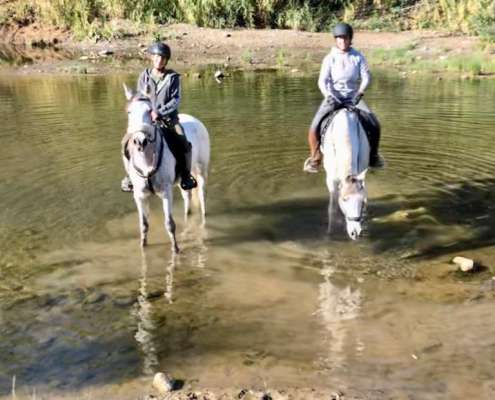 River ride Estepona with Ranch Siesta Los Rubios