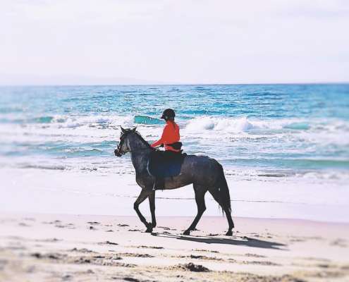 ranch Siesta Los Rubios beach riding in Tarifa on a day trip