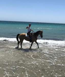 ranch Siesta Los Rubios beach horse riding Estepona